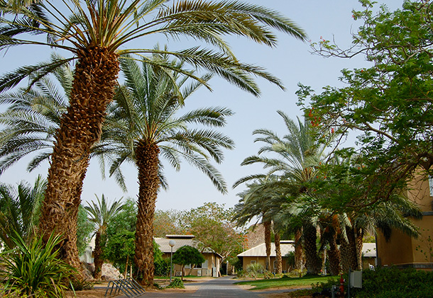Kibbutz Yotvata