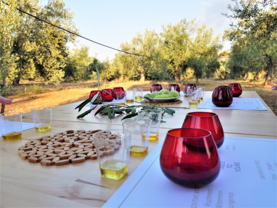 A table set for an olive oil tasting. COURTESY OLEOSOPHIA