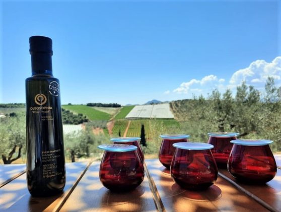 Visitors to OLEOSOPHIA tour the olive groves and enjoy olive oil tastings in this stunning setting. COURTESY OLEOSOPHIA