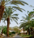 Kibbutz Yotvata